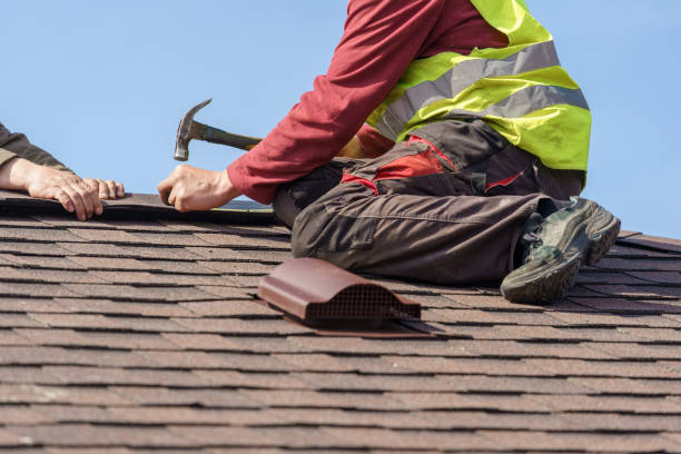 Best Roof Gutter Cleaning  in Higginsville, MO