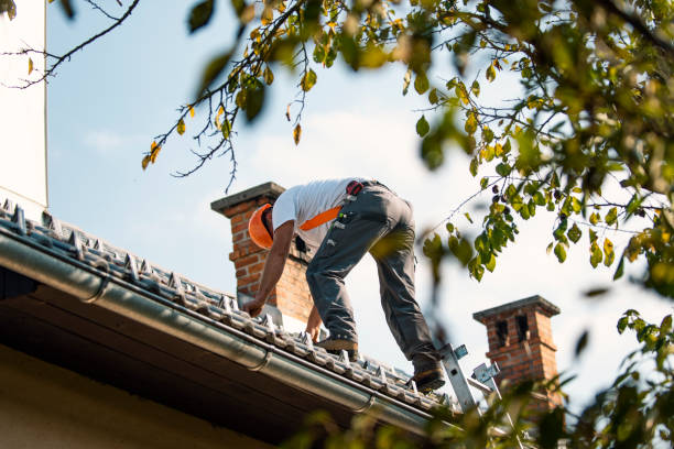 Best Roof Waterproofing Services  in Higginsville, MO